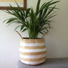 Belly Basket White Striped Natural Seagrass