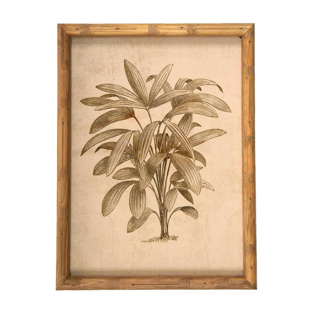 Front of print 1 of vintage palm tree framed print