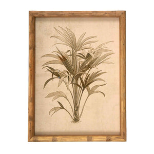 Front of print 4 of vintage framed palm tree print