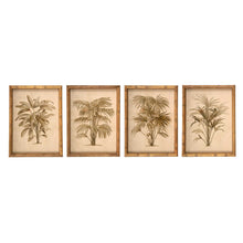 Full view of four vintage palm tree framed print